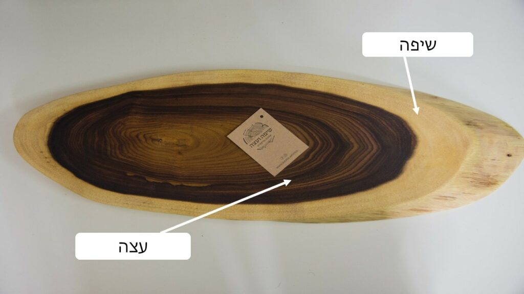הסבר על מרכיבי העץ-שיפה ועצה